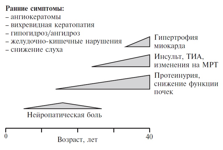 Ферби болезнь что это. Смотреть фото Ферби болезнь что это. Смотреть картинку Ферби болезнь что это. Картинка про Ферби болезнь что это. Фото Ферби болезнь что это